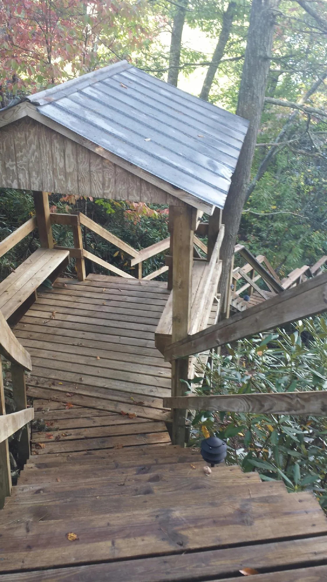Metal roofed shelter over wooden steps on a wooded walkway in Camden